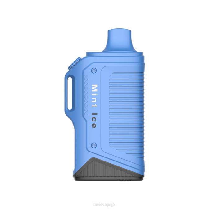 ミントアイス LAVIE Energy Box 15000パフ 260P72 | Lavie 電子タバコ